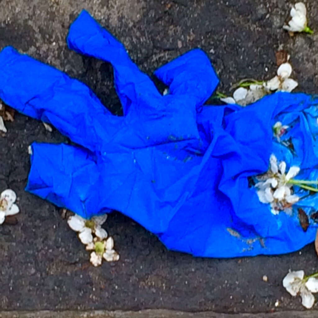 Blue surgical glove on the ground scattered with flower blossom petals