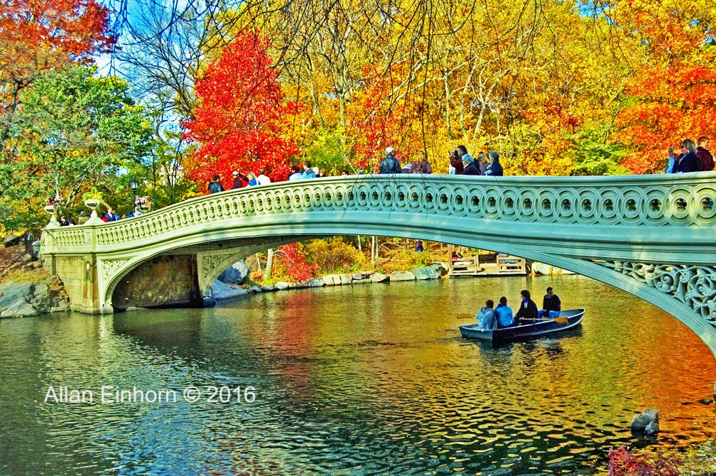 photograph of a bridge over water, row boat with four people in it, people on the bridge and the trees are turning on a bright fall day