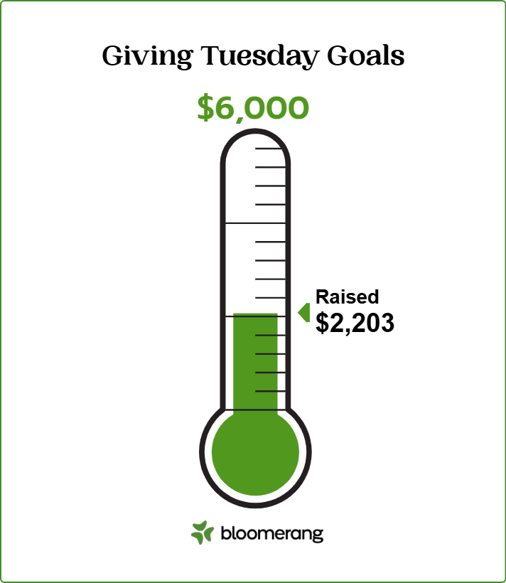 Thermometer of Giving Tuesday Goal of $6000 with $1634 donated to date.